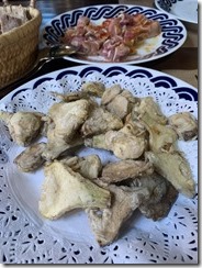 Glutton_CanLampazas_02